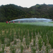 报告指出:中国须全产业链减少粮食浪费