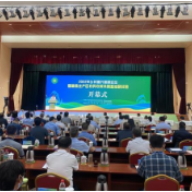 魏后凯：粮食安全前提下，要确保农民收入稳定快速增长