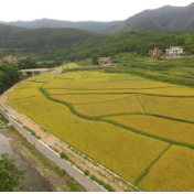 谢卫江在邵东调研时强调 维护粮食安全，发展县域经济