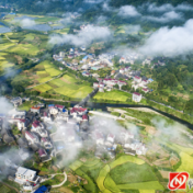 为了大地的丰收——新晃持续推进粮食安全保障能力建设纪实