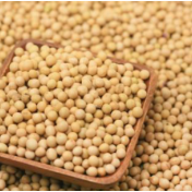 我国1-10月粮食进口近1.3亿吨 同比增长7.3%