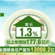 粮油丰、供给足 为经济持续恢复向好提供支撑