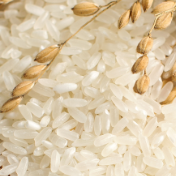 产量进口双降，稻米市场为何难涨？