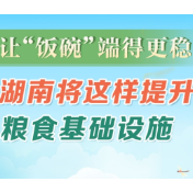 政策简读丨让“饭碗”端得更稳 湖南将这样提升粮食基础设施