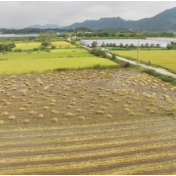 保耕地更要建良田