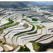 粮稳天下安：中国全方位夯实粮食安全根基