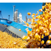 国家粮食和物资储备法律法规体系综述