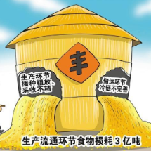减少流通环节食物浪费