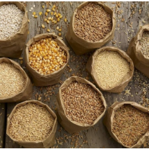 中东欧国家出台乌克兰粮食禁令