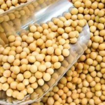 巴西大豆飘香中国消费市场