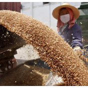 深耕细作护粮安——部分省区深化粮食购销领域腐败问题专项整治工作座谈会综述 