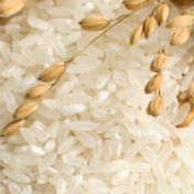 销区大米需求清淡 短期粳稻以稳为主