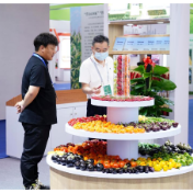 从2023中国种子大会透视种业振兴新进展