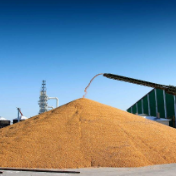 媒体关注：中俄粮食“陆路走廊”具重要意义