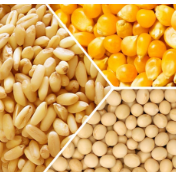 芝加哥农产品期价16日下跌