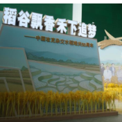 中国攻克杂交水稻难关50周年展览在中国科技馆开幕