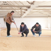 检察机关启动为期8个月参与粮食购销领域腐败问题专项整治工作