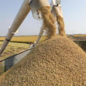 湘潭今年粮食和物资储备工作瞄准8项工作