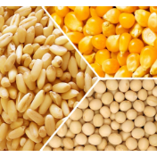 芝加哥农产品期价9日涨跌不一