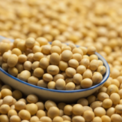 阶段性供应压力缓解 国产豆价或平稳运行