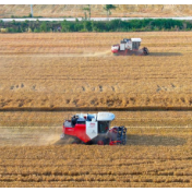 各地掀起“三夏”麦收高潮 筑牢粮食安全“压舱石”