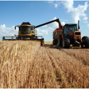 欧亚经济联盟高度关注粮食安全