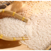 外媒:印度大米出口禁令或推高全球粮价