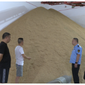 祁阳:夯实夏粮收购服务 当好粮食政策“宣传员”