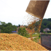 湖南长沙:早稻丰产“双抢”忙