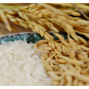 进口大米继续下降 国内稻米稳中略涨