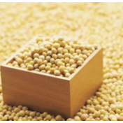收储调节市场供需 国产豆价或先抑后扬