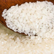 印度大米出口限制加剧全球食品通胀担忧