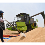 欧盟“团结通道”上的粮食困境