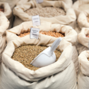 黑海粮食协议失效 国际谷物市场受冲击