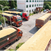 湖南安仁：夏粮收储忙