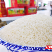 2023年国际米价“特立独行” 2024年国内稻米行情可能回落