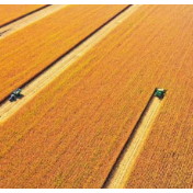 瞭望丨夯实粮食安全保障法治根基