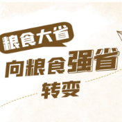 2024年湖南粮食和物资储备工作怎么干？路线图来了