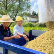 推动粮价保持合理水平，《决定》统筹建立粮食产销区横向补偿机制