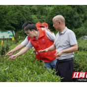 从“食话食说”到科技文旅，中南林业科技大学服务团走进“湘土”解民生治学问
