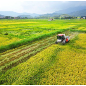 加快探索省际横向利益补偿机制 保障国家粮食安全 