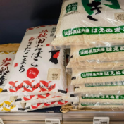 日本多地“大米荒”持续 政府部门被指“无对策”