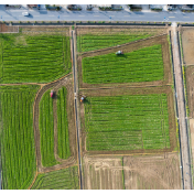 中国最高法：依法严惩破坏耕地资源违法犯罪行为