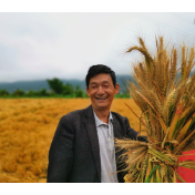 “十四五”答卷｜饭碗端得更牢 餐桌更加丰富