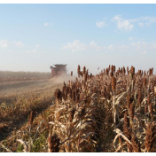 沃土为基 粮丰满仓