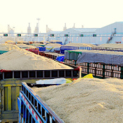 北粮南运迎高峰 铁路部门开行首趟粮食专列