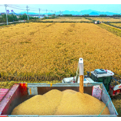 耕好“无形粮田” 守护粮食安全