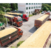 喜忧之间显担当 章法之中助增收——湖南省粮食和物资储备局局长谈粮食收储工作