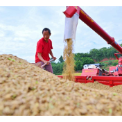 《中国粮食制度史》学术研讨会在京召开