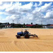 政策性收储兜底秋粮收购